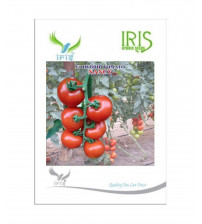 Tomato Iris F1 Nancy 10 grams